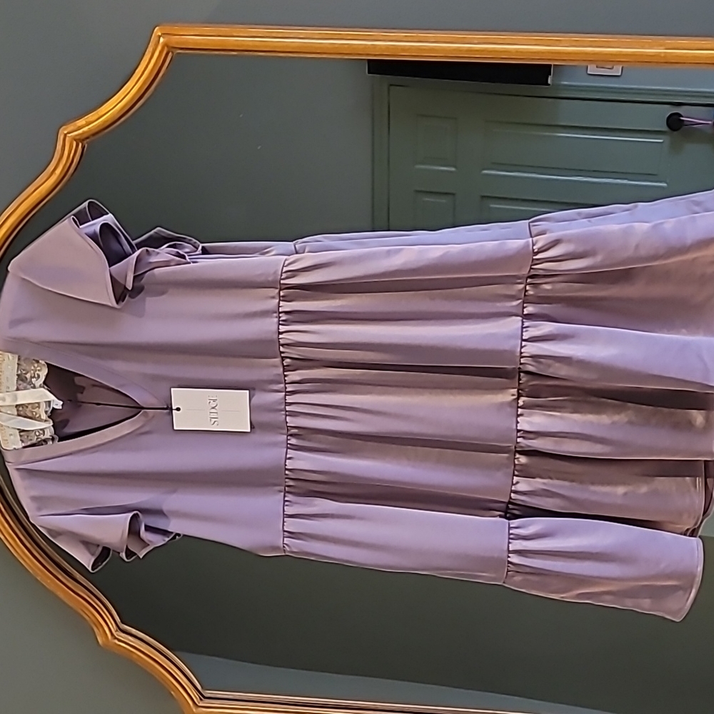 NWT Sledge Dress